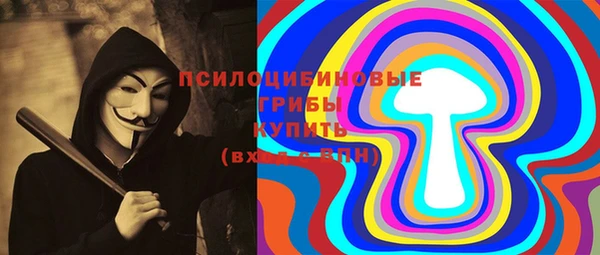 ГАЛЛЮЦИНОГЕННЫЕ ГРИБЫ Снежногорск