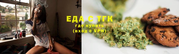 мдпв Верхний Тагил