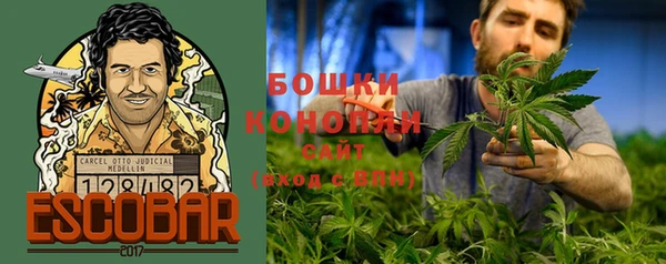 гашик Бородино