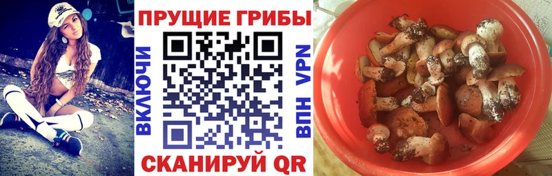 Галлюциногенные грибы Magic Shrooms  Ростов 
